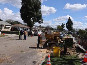 EEUU-CALIFORNIA-LOS ANGELES-PICO RIVERA-TORNADO-SECUELAS