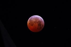 PANAMA-CIUDAD DE PANAMA-ECLIPSE LUNAR