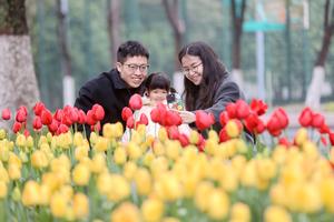 CHINA-PRIMAVERA-FLORES