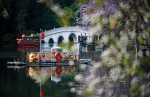CHINA-PRIMAVERA-FLORES