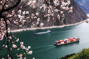 CHINA-PRIMAVERA-FLORES