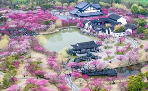 CHINA-PRIMAVERA-FLORES