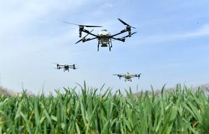 CHINA-ARADO DE PRIMAVERA-TECNOLOGIA
