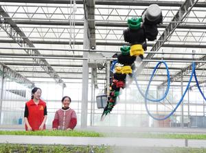 CHINA-ARADO DE PRIMAVERA-TECNOLOGIA