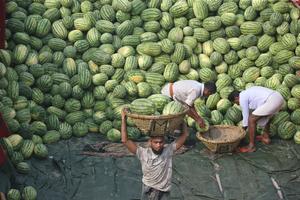 BANGLADESH-DHAKA-SANDIA-COSECHA