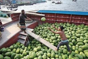 BANGLADESH-DHAKA-SANDIA-COSECHA