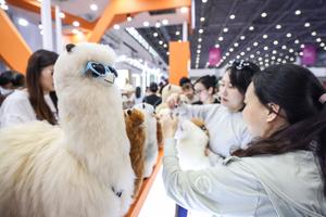 CHINA-HAINAN-HAIKOU-CICPE-CONCLUSION