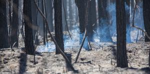 EEUU-TEXAS-INCENDIO FORESTAL-PROPAGACION