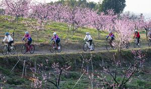 CHINA-PRIMAVERA-PAISAJE