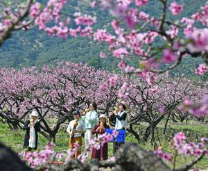 CHINA-PRIMAVERA-PAISAJE