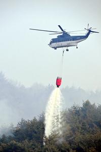 REPUBLICA DE COREA-INCENDIOS FORESTALES