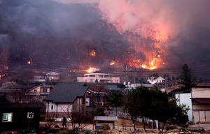 REPUBLICA DE COREA-INCENDIOS FORESTALES