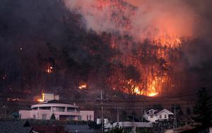 REPUBLICA DE COREA-INCENDIOS FORESTALES