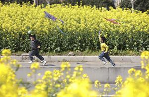 CHINA-ZHEJIANG-PRIMAVERA-FLORES-ESTILO DE VIDA