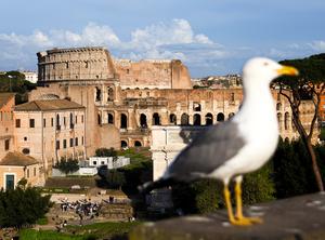ITALIA-ROMA-PRIMAVERA-PAISAJE