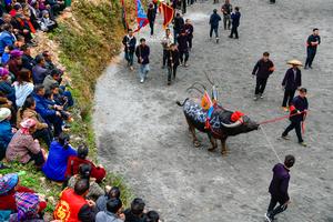 CHINA-GUIZHOU-JINPING-FESTIVAL DE GUZANG-CORRIDA DE TOROS