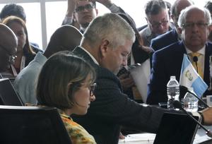 HONDURAS-TEGUCIGALPA-CELAC-CANCILLERES