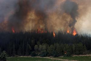MEDIO ORIENTE-JERUSALEN-INCENDIOS FORESTALES