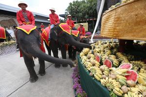 TAILANDIA-PATTAYA-DIA NACIONAL DEL ELEFANTE