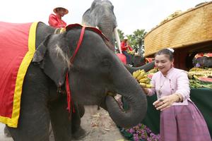 TAILANDIA-PATTAYA-DIA NACIONAL DEL ELEFANTE