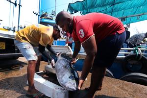 SRI LANKA-NEGOMBO-PESCADORES-VIDA COTIDIANA