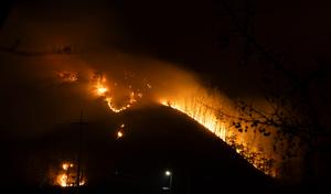REPUBLICA COREA-INCENDIOS FORESTALES-NUMERO DE MUERTOS