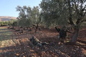 SIRIA-MONTE HERMON-TROPAS ISRAELIES-MANIOBRAS