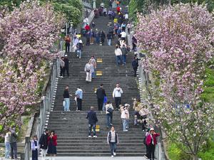 #CHINA-QINGMING FESTIVAL-HOLIDAY (CN)