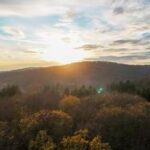 TURQUIA-ESTAMBUL-BOSQUE DE BELGRADO-PRINCIPIOS DE INVIERNO