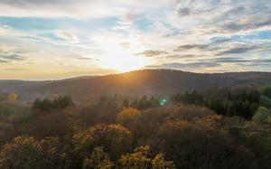 TURQUIA-ESTAMBUL-BOSQUE DE BELGRADO-PRINCIPIOS DE INVIERNO