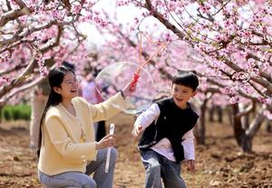 CHINA-FESTIVAL QINGMING-VACACIONES
