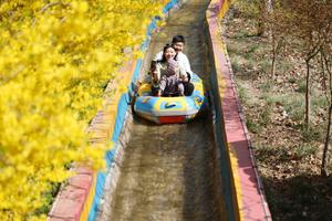CHINA-FESTIVAL QINGMING-VACACIONES