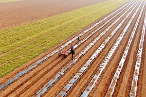 CHINA-PRIMAVERA-AGRICULTURA