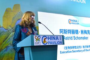 armenia-erevan-cop17-pabellon-de-china-apertura-101002026102175000127