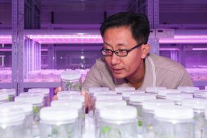 china-anhui-hefei-agricultura-industria-de-las-sem-101002026101475000296