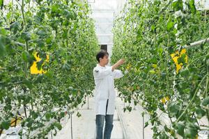 china-anhui-hefei-agricultura-industria-de-las-sem-101002026101475000304