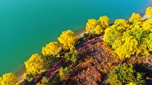 china-gansu-paisaje-otonal-101002026102975000175