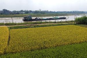 china-guangxi-hengzhou-canal-pinglu-paisaje-otonal-101002026101575000348