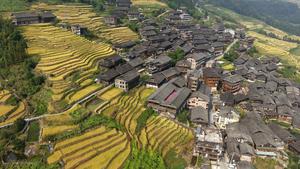 china-guangxi-longsheng-campos-en-terrazas-paisaje-101002026101575000318