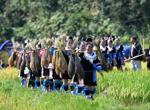 china-guangxi-rongshui-festival-de-la-cosecha-101002026102075000298