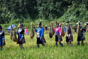 china-guangxi-rongshui-festival-de-la-cosecha-101002026102075000300