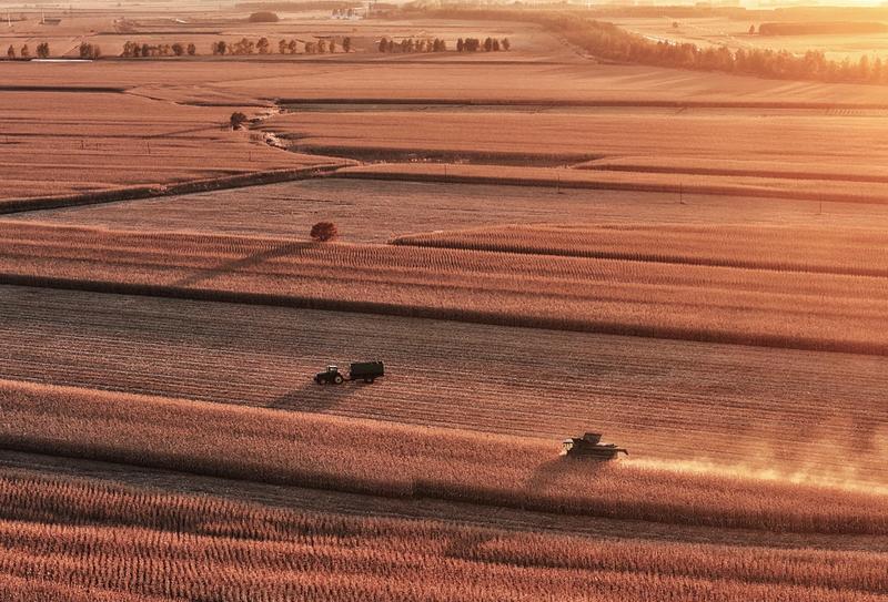 china-heilongjiang-cultivos-cosecha-101002026101375000147