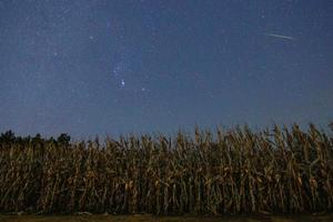 china-heilongjiang-lluvia-de-meteoros-de-las-orion-101002026102275000202