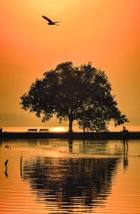 china-hubei-wuhan-paisaje-otonal-101002026102775000408