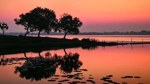 china-hubei-wuhan-paisaje-otonal-101002026102775000410