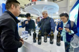 china-ningxia-yinchuan-cultura-del-vino-turismo-ex-101002026101375000349