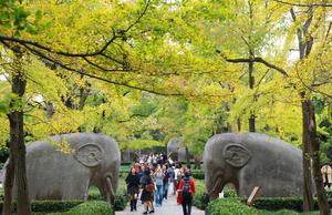 china-paisaje-otonal-101002026102675000204
