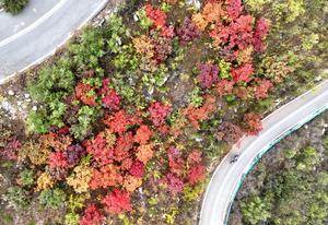 china-paisaje-otonal-101002026102675000208