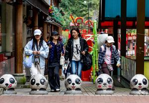 china-sichuan-baoxing-ecoturismo-tematico-sobre-pa-101002026101875000177