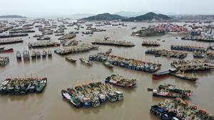 china-tifon-champi-preparacion-101002026102175000090